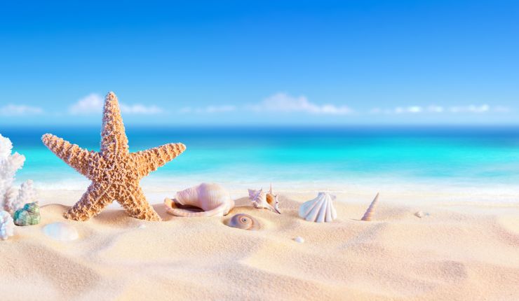 Karibische Träume...