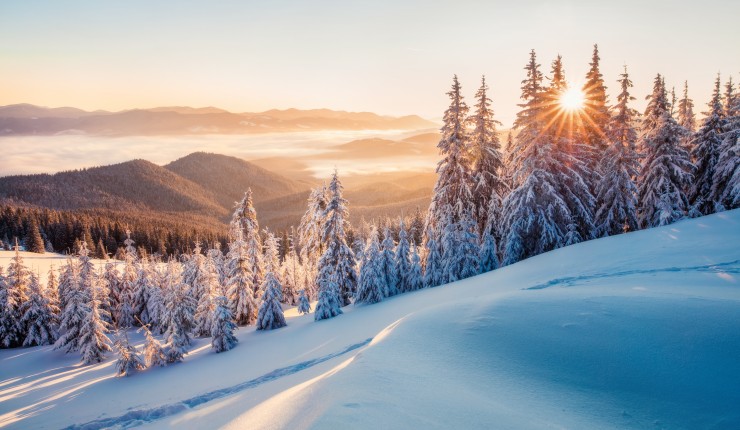 Wintertraum Lappland